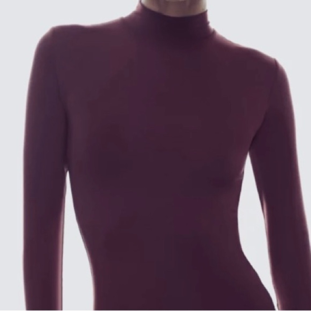 🎈$5 add on. Aritizia Babaton Mockneck ribbed long sleeved top. Eggplant.